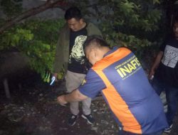 Penemuan Mortir Berkarat di Kamal Kalideres Jakarta Barat, Ini Penjelasan Polisi