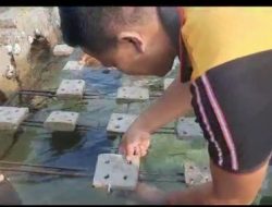 Bhabinkamtibmas Pulau Lancang dan Pemuda Karang Taruna Melaksanakan Giat Pembibitan Terumbu Karang