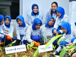 Pengurus Korcab XII DJA 1 Tanam Tanaman Herbal Sebagai Apotek Hidup di Area Perkantoran