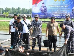 Gebyar Panen Raya oleh Menteri Pertanian RI dan TNI AL, Lantamal XII Panen Ikan Nila
