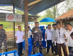 Lanal Simeulue Laksanakan Panen Kepiting Program Ketahanan Pangan TNI Angkatan Laut Tahun 2024