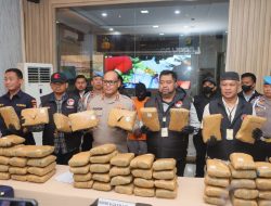 Polres Metro Jakarta Utara Gagalkan Peredaran Ganja Seberat 77 Kg
