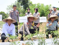 Dukung Target Swasembada Pangan Nasional, SSDM Polri Siapkan Calon Polisi Dengan Skill dan Program Pertanian Yang Melibatkan Masyarakat