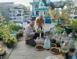 Bhabinkamtibmas Palmerah Bersama RW 17 Wujudkan Ketahanan Pangan Melalui Kebun Hidroponik
