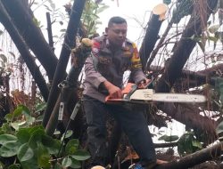 Aksi Heroik Bhabinkamtibmas Jatiwaringin Bripka Wardoyo Evakuasi Korban dan Pohon Tumbang di Pondok Gede