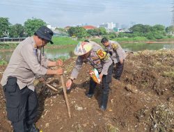 Jaga Ketahanan Pangan Polsek Metro Tanah Abang Lakukan Penanaman Jagung Di Bantaran Kali Ciliwung