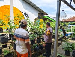 Pembinaan pekarangan ketahanan pangan, Polisi ajak masyarakat tingkatkan produksi pangan