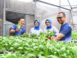 GREEN HOUSE MENJADI SARANA KESIAPAN KETAHANAN PANGAN PRAJURIT KOLINLAMIL