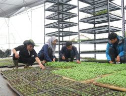 Ungkap Peran TNI AD dalam Ketahanan Pangan dan Pelestarian Alam, Dispenad Ajak Awak Media Jelajahi Agroforestry Gunung Hejo