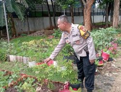 Program Ketahanan Pangan Bergizi di Kelurahan Pulogebang Dukung Ketahanan Kamtibmas