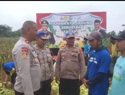 Masyarakat Apresiasi Panen Raya Jagung Polda Metro Jaya: “Bukti Polri Peduli Ketahanan Pangan”