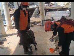 Tim K9 Polri yang Tergabung dalam Tim INASAR 1 Berhasil Temukan Korban dalam Operasi Kemanusiaan di Myanmar