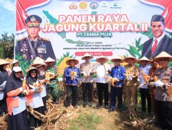 Kapolres Kampar Panen Raya Jagung: Wujud Dukungan Nyata untuk Ketahanan Pangan Nasional