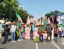 Peringatan Hari Tani Nasional ke-65, SPI Mendesak Pelaksanaan Reforma Agraria Sejati dengan 6 Tuntutan