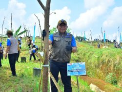Pangkolinlamil Hadiri Bhakti Sosial Dan Penanaman Pohon Alumni AAL Angkatan 42/1996 Moro Saka
