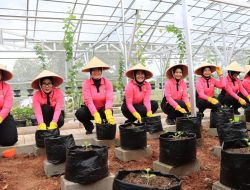 LAUNCHING PEKARANGAN PANGAN LESTARI (P2L) BHAYANGKARI METRO JAYA DIGELAR DI KELURAHAN PADURENAN BEKASI