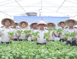 Panen Raya Serentak, Lapas Kelas I Tangerang Tegaskan Peran Pemasyarakatan Dukung Ketahanan Pangan