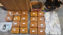 Polda Metro Jaya Berhasil Menggagalkan Peredaran Ganja Seberat 18 Kilogram Di Jakarta Barat