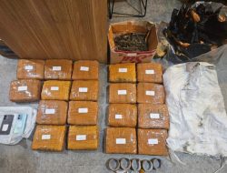 Polda Metro Jaya Berhasil Menggagalkan Peredaran Ganja Seberat 18 Kilogram Di Jakarta Barat