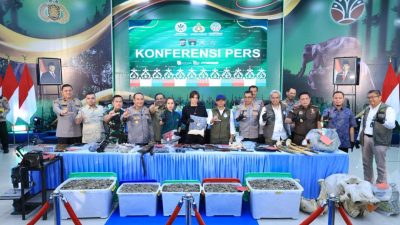 Polda Riau Bekuk 15 Tersangka Jaringan Perburuan Gajah Sumatera Lintas Provinsi