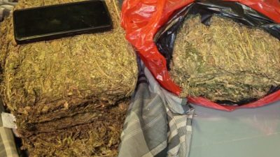 Polda Metro Jaya Menggagalkan Peredaran 4,3 Kg Ganja Di Wilayah Depok