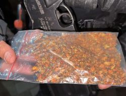 Gerak Cepat Brimob PMJ, Amankan 4 Terduga Pelaku dan Barang Bukti Narkoba Di Jakarta Utara