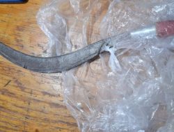 Unit Lantas Cengkareng Tangkap terduga pelaku Curas Bersenjata Tajam di Ring Road Rawa Buaya, Satu terduga pelaku Diamankan