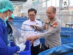 Greenhouse SPPG Palmerah Panen Sawi dan Nila untuk Menu Bergizi 2.529 Penerima Manfaat