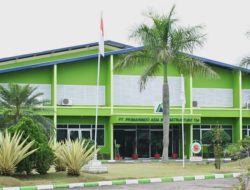 BIMA Catat Penjualan Naik 17% di 2025, Genjot Efisiensi dan Mulai Kembali Ekspor