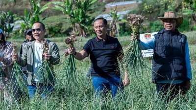 Satgas Pangan Polri Perkuat Swasembada Bawang Putih, Lahan Tanam di Sembalun Capai 534 Hektare